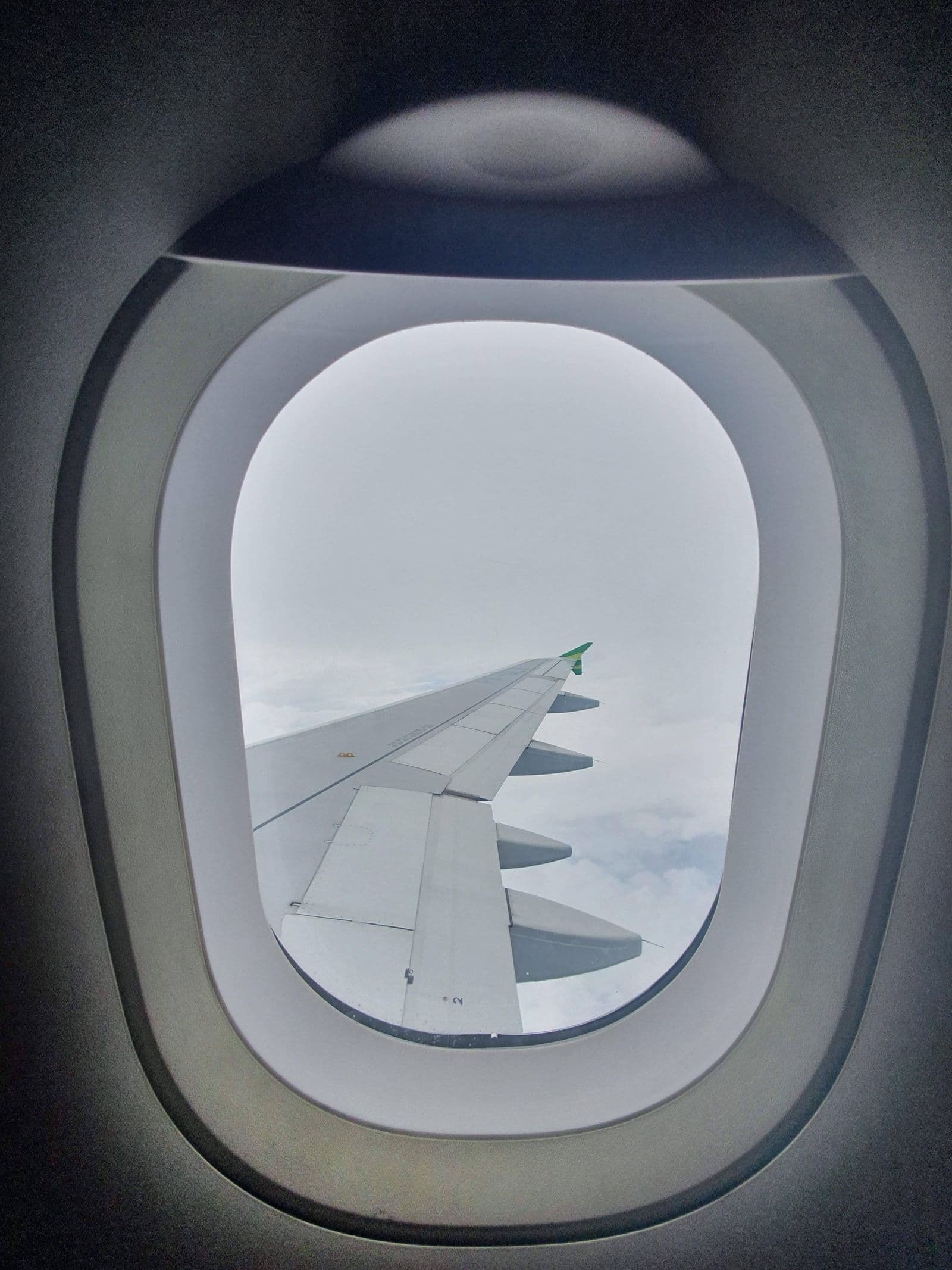 Airplane wing viewed through a passenger window above the clouds