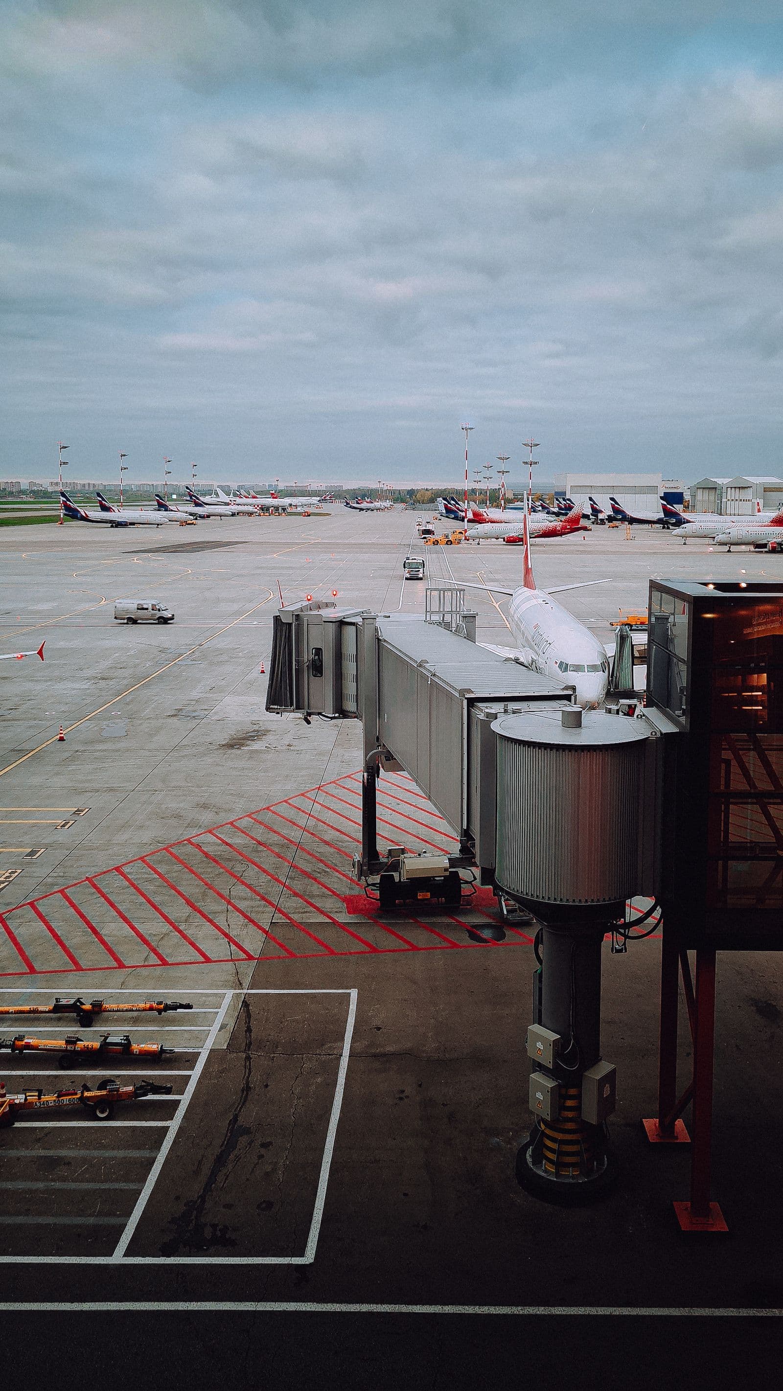 Airport apron with multiple commercial aircraft at their gates